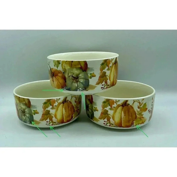 Botanical Pumpkins Stoneware Bowl 6”W x 3”H Lot Of 3 ** Factory Blemished** - Picture 4 of 4